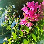 Hotel Savra Bodrum