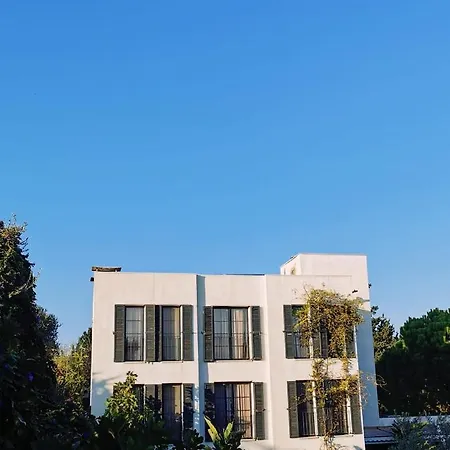 Savra Bodrum 3* 比特兹