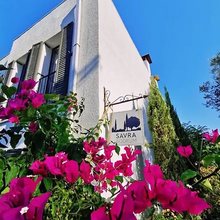 Savra Bodrum 比特兹