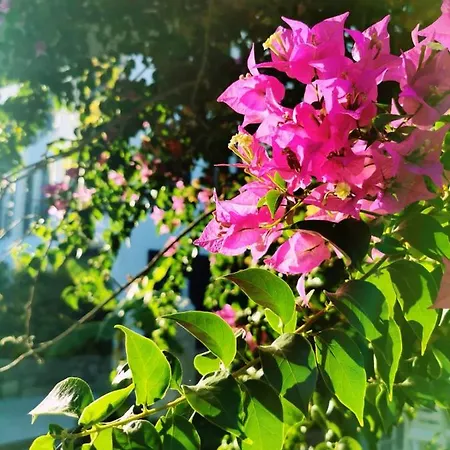 Hotel Savra Bodrum