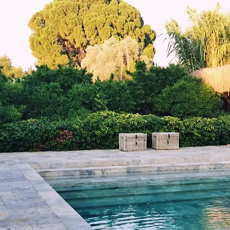 酒店 Savra Bodrum 3*