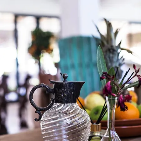 酒店 Savra Bodrum 比特兹